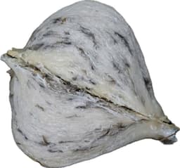 Tổ Yến Thô Đặc Biệt
