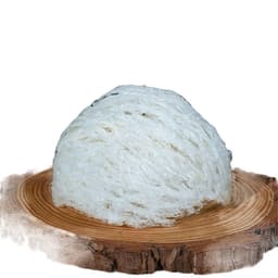 Tổ Yến Trắng Rút Lông