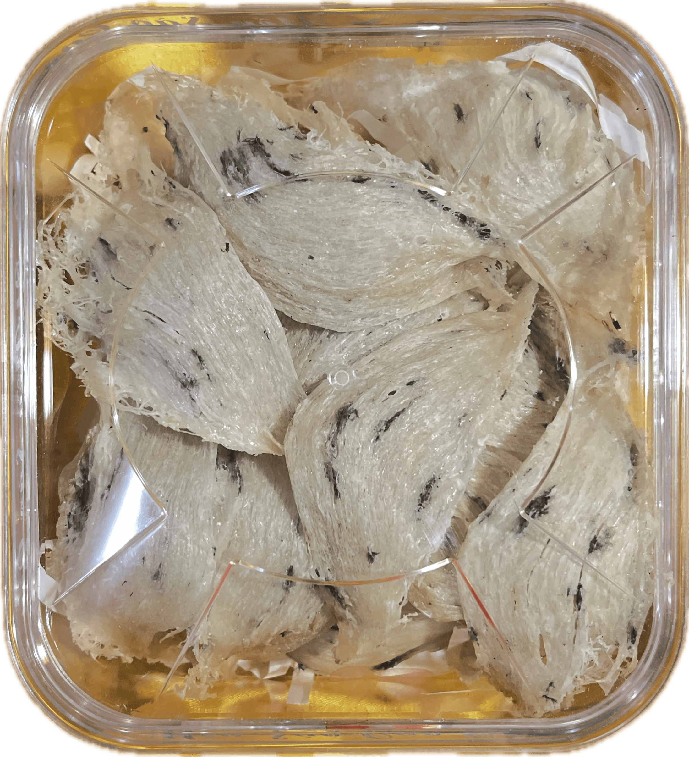 Tổ Yến Thô Đặc Biệt